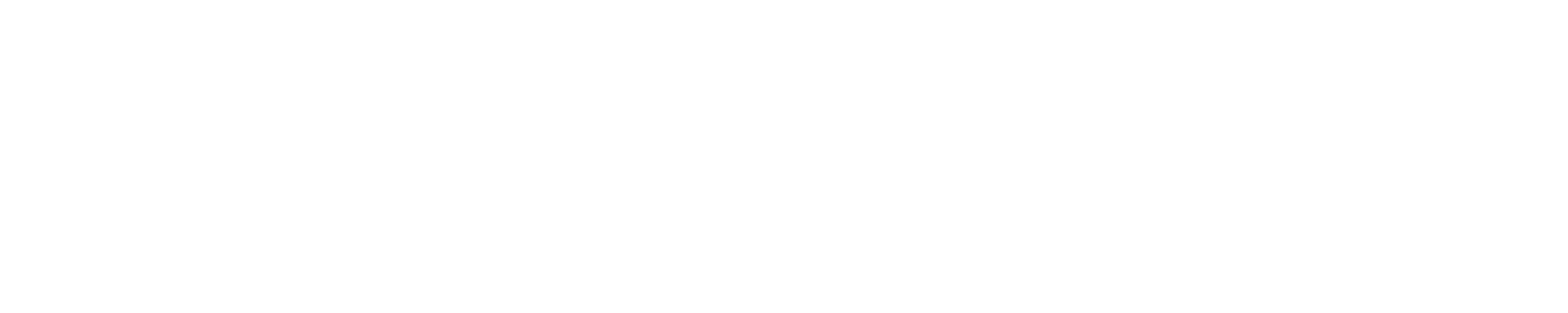 FlyTrek - 